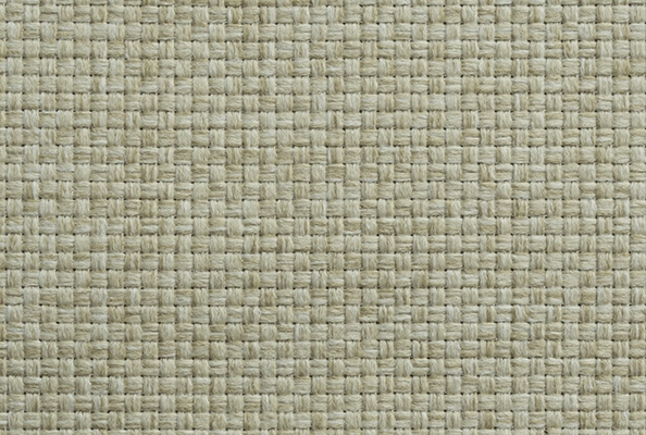 Laine Oasis Sahara